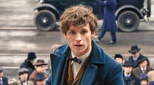 Nueva imagen de Eddie Redmayne en 'Animales fantásticos y dónde encontrarlos'