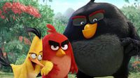 Nuevo tráiler de 'Angry Birds. La película' cargado de risas