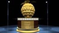 Nominaciones a los Razzies 2009