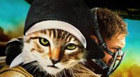 El gato protagonista de 'Keanu' parodia los pósters de los Oscar