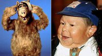 Muere Michu Meszaros, el actor que interpretaba a Alf, a los 76 años