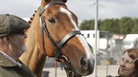 'Caballo ganador': La alianza del anhelo