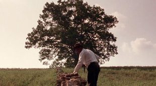 El viento echa abajo el famoso árbol de 'Cadena perpetua'