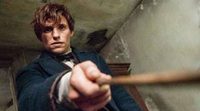 'Animales fantásticos': Así escogió Eddie Redmayne su varita mágica