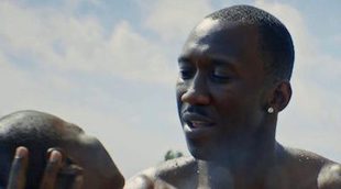 'Moonlight': La historia de un afroamericano homosexual fascina en el Festival de Telluride