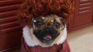 'Stranger Things' en versión pug en un divertido vídeo viral