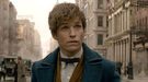 'Animales fantásticos y dónde encontrarlos': La idea original era hacer un documental de Newt Scamander