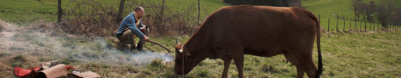 'La vaca': Una mirada amable