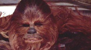 'Star Wars': ¿Veremos a un Chewbacca versión joven en el spin-off de Han Solo?