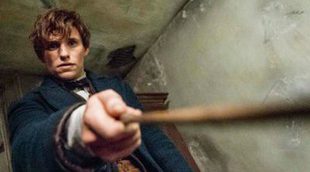 'Animales Fantásticos': David Yates dirigirá las cinco entregas de la saga