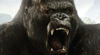 Tráiler español de 'Kong: La Isla Calavera' en exclusiva: El peligroso simio no es lo que da más miedo