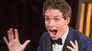 'Animales Fantásticos': Eddie Redmayne protagoniza un vídeo a favor de la casa Hufflepuff