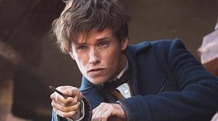 'Animales fantásticos': Newt Scamander sí apareció en una película de 'Harry Potter'