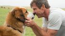 'A Dog's Purpose': Universal cancela la premiere la filtración del video en el que se maltrata a un perro