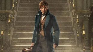 Newt Scamander desmiente una teoría de 'Animales Fantásticos y Donde Encontrarlos' sobre Dumbledore