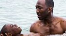 'Moonlight' también triunfa en los Premios GLAAD a la representación LGTB