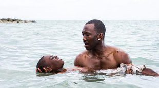 Lanzamientos DVD y Blu-Ray: 'Moonlight', 'La tortuga roja', 'Vivir de noche'