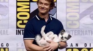 'Juego de Tronos': La adorable perrita de Theon que ha robado el protagonismo en la Comic-Con