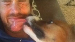 Hoy en Twitter: El video de Chris Evans reuniéndose con su perro tiene una bonita historia detrás