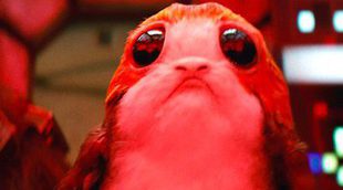 'Star Wars: Los últimos Jedi': Todo lo que tienes que saber de los Porgs