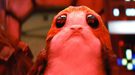 El creador de criaturas de 'Star Wars: Los últimos Jedi' desvela importantes datos sobre los Porgs