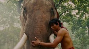 El elefante de las películas de 'Ong Bak' aplasta a su dueño hasta la muerte