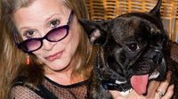 'Star Wars: Los últimos Jedi' convierte al perro de Carrie Fisher en un alien