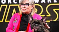 'Star Wars: Los últimos Jedi': El perro de Carrie Fisher la reconoce en pantalla