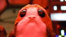 'Star Wars: Los últimos Jedi': Esto es lo que pasa cuando das un porg a los protagonistas