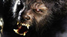 Cambian el aspecto de la criatura de 'The wolfman'