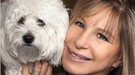 Barbra Streisand ha clonado a su perro dos veces