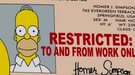 'Los Simpson': Un conductor es arrestado por utilizar un carnet con la cara de Homer Simpson