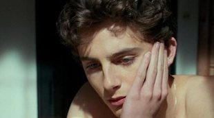 Timothée Chalamet apunta al Oscar de nuevo con 'Beautiful Boy', sobre un joven drogadicto