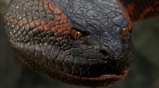 De 'Trampa mortal' a la saga 'Anaconda': Los reptiles más memorables del cine