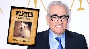 Una enfermera demanda a Martin Scorsese porque su perro la atacó y le dejó "heridas permanentes"