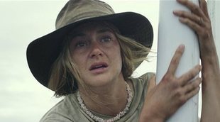 'A la deriva': La dieta extrema de Shailene Woodley para la película