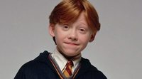 Su pánico real a las arañas y otras curiosidades de Rupert Grint