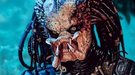 Repaso completo a la saga 'Predator'