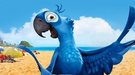 El guacamayo de Spix, el ave azul de la película 'Río', se ha extinguido