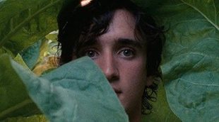 'Lazzaro feliz': La parábola del santo magnánimo