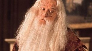 10 curiosidades que quizás no sabías de Albus Dumbledore