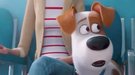 Teaser tráiler de 'Mascotas 2': Max va al veterinario en la secuela del éxito de Illumination