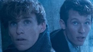 Eddie Redmayne y Callum Turner ('Animales Fantásticos: Los crímenes de Grindelwald'): "Confiad en J.K. Rowling"