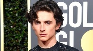 Una fan se sentó al lado de Timothée Chalamet en un vuelo y cuenta todo lo que sucedió después