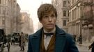 'Animales Fantásticos: Los crímenes de Grindelwald': Eddie Redmayne asegura que el rodaje fue agotador