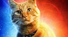 Todo lo que tienes que saber de Goose, el gato de 'Capitana Marvel': origen, teorías...