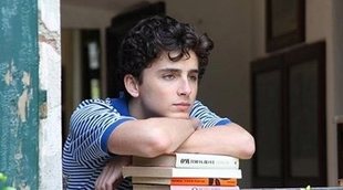 La novela secuela de 'Call Me By Your Name' se titula 'Find Me' y ya tiene sinopsis y fecha de publicación