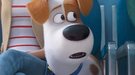 'Mascotas 2': Nuevo tráiler del regreso de los animales de Illumination