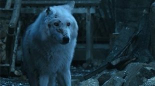 'Game Of Thrones': Esta teoría explica por qué Jon Snow abandona a Fantasma y sus consecuencias