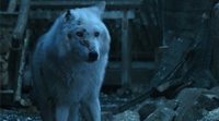 'Game Of Thrones': Esta teoría explica por qué Jon Snow abandona a Fantasma y sus consecuencias